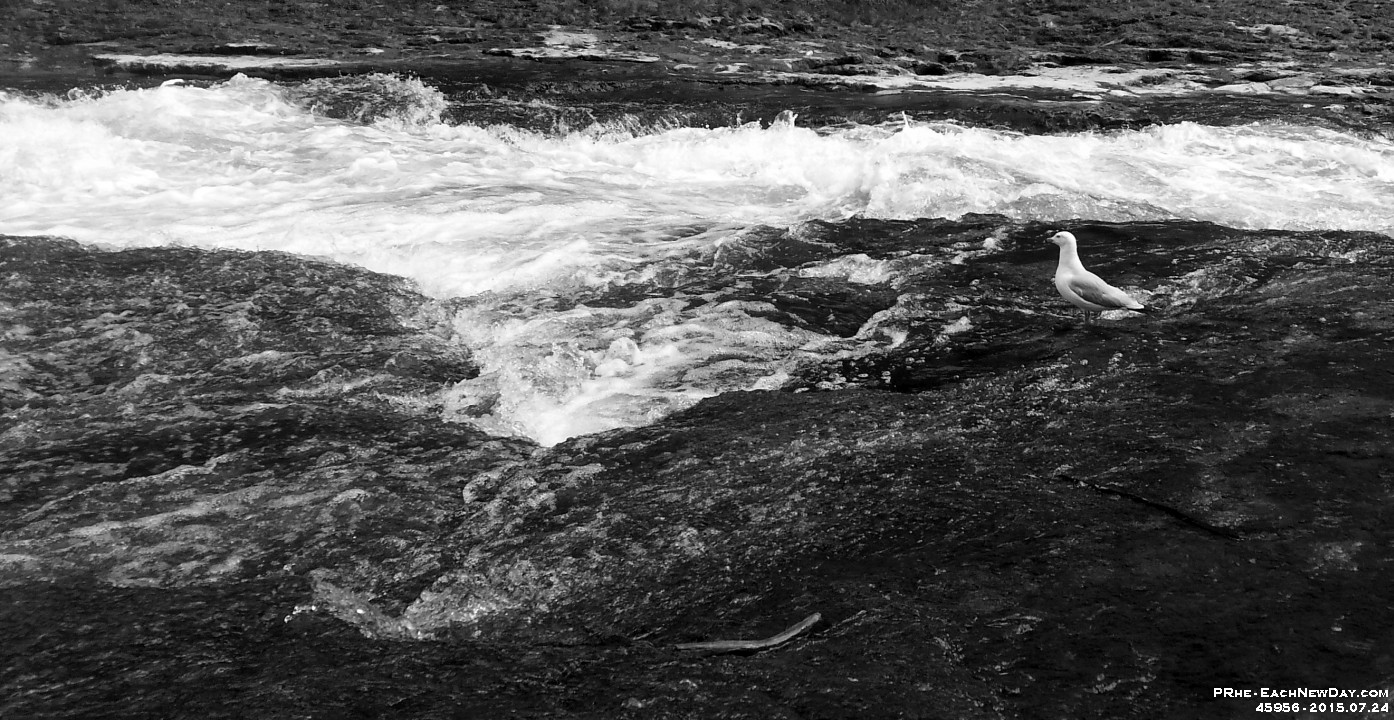 45956CrBwLe - Triathalon, Day Seven - Hiking along the Grand River at Elora Gorge